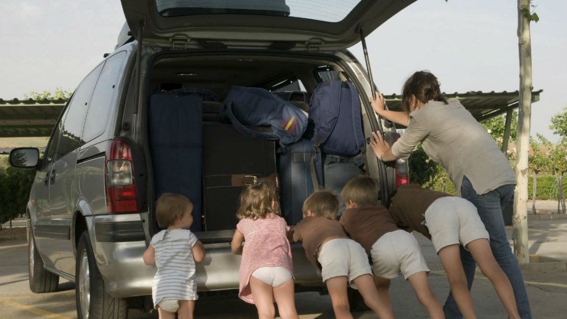 Coches familiares: SUV de 7 plazas, maleteros grandes y mascotas